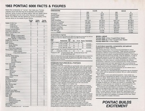 1983 Pontiac 6000 (Cdn)-07.jpg